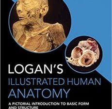 Logan’s Illustrated Human Anatomy 1st Edition