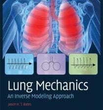 lung mechanics: an inverse modeling approach