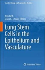 lung stem cells in the epithelium and vasculature