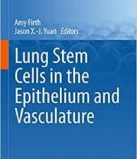 lung stem cells in the epithelium and vasculature