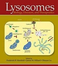 lysosomes: biology, diseases, and therapeutics