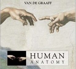 MP: Van De Graaff Human Anatomy 6/e