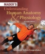 Mader’s Understanding Human Anatomy & Physiology (7th edition)