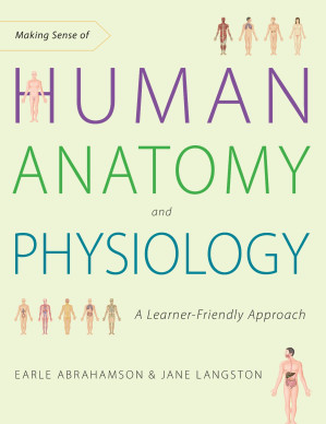 making sense of human anatomy and physiology: a learner friendly approach