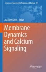 membrane dynamics and calcium signaling