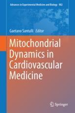 mitochondrial dynamics in cardiovascular medicine (advances in experimental medicine and biology)