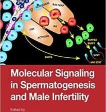 molecular signaling in spermatogenesis and male infertility