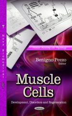muscle cells: development, disorders and regeneration