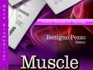 muscle cells: development, disorders and regeneration