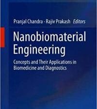 nanobiomaterial engineering: concepts and their applications in biomedicine and diagnostics