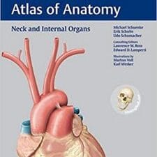 Neck and Internal Organs