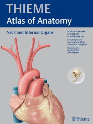 neck and internal organs (thieme atlas of anatomy)
