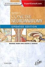 Netter’s Concise Neuroanatomy Updated Edition (Netter Clinical Science) 1st Edition