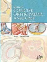 Netter’s Concise Orthopaedic Anatomy E-Book, Updated Edition (Netter Basic Science) 2nd Edition