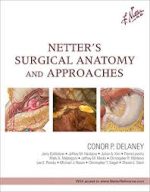 netter’s surgical anatomy and approaches, 1st edition (netter clinical science)