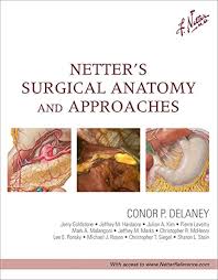netter’s surgical anatomy and approaches, 1st edition (netter clinical science)