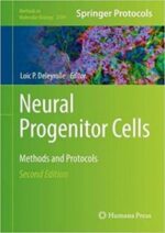 neural progenitor cells: methods and protocols (methods in molecular biology, 2389) 2nd ed. 2022 edition