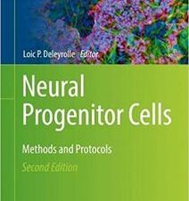 neural progenitor cells: methods and protocols (methods in molecular biology, 2389) 2nd ed. 2022 edition