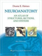 Neuroanatomy: An Atlas of Structures, Sections, and Systems (Neuroanatomy: An Atlas of Strutures, Sections, and Systems (Haines)) 8th Edition