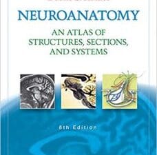 Neuroanatomy: An Atlas of Structures, Sections, and Systems (Neuroanatomy: An Atlas of Strutures, Sections, and Systems (Haines)) 8th Edition