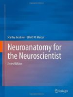 neuroanatomy for the neuroscientist – 2nd edition