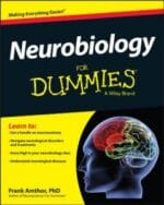 neurobiology for dummies