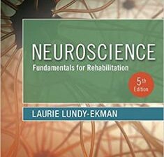 neuroscience: fundamentals for rehabilitation