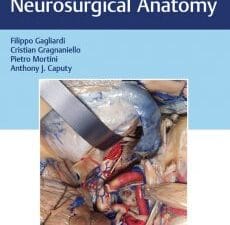 Operative Cranial Neurosurgical Anatomy