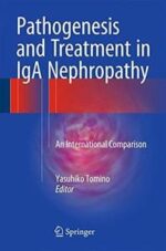 pathogenesis and treatment in iga nephropathy: an international comparison