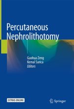 percutaneous nephrolithotomy
