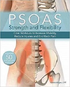 psoas strength and flexibility: core workouts to increase mobility, reduce injuries and end back pain