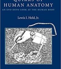 Quirks of Human Anatomy: An Evo-Devo Look at the Human Body