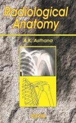 Radiology Anatomy