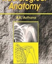Radiology Anatomy