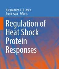 regulation of heat shock protein responses