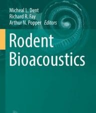 rodent bioacoustics