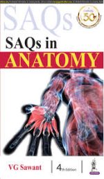 saqs in anatomy (2013 release)
