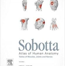 sobotta tables of muscles, joints and nerves, english/latin: tables to 15th ed. of the sobotta atlas, 1e by friedrich paulsen (2011 10 21)