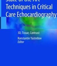 State of the Art Techniques in Critical Care Echocardiography: 3D, Tissue, Contrast