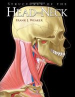 structures of the head and neck (2013)