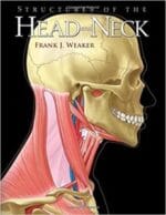 structures of the head and neck