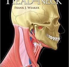 structures of the head and neck