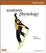 Study Guide for Anatomy & Physiology 8th Edition