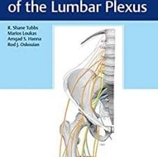 Surgical Anatomy of the Lumbar Plexus 1st Edition