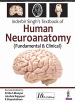 textbook of human neuroanatomy