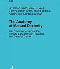 The Anatomy of Manual Dexterity: The New Connectivity of the Primate Sensorimotor Thalamus and Cerebral Cortex