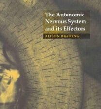 the autonomic nervous system and its effectors