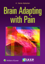 the brain adapting with pain : contribution of neuroimaging technology to pain mechanisms