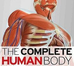 The Complete Human Body: The Definitive Visual Guide