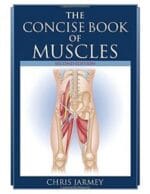 The Concise Book of Muscles, Second Edition